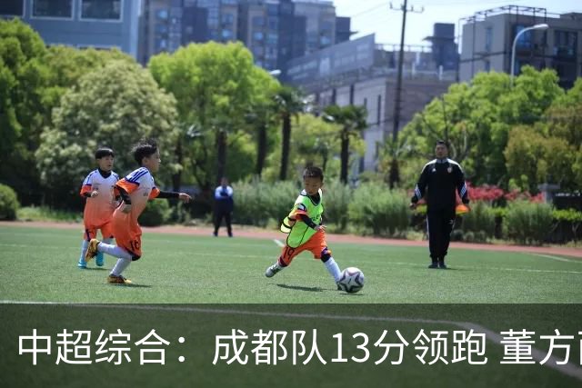 中超综合：成都队13分领跑 董方雨二度“主哨”