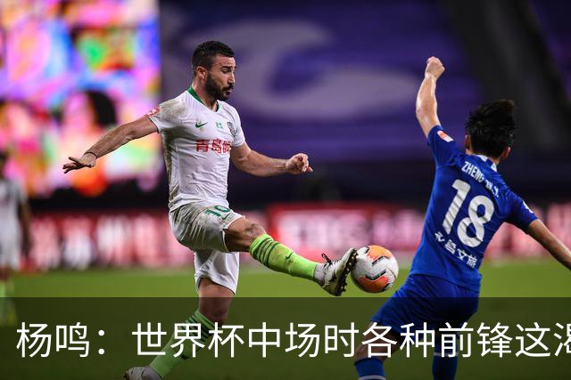 杨鸣：世界杯中场时各种前锋这渴了那饿了全来了 谁能记住后卫呢